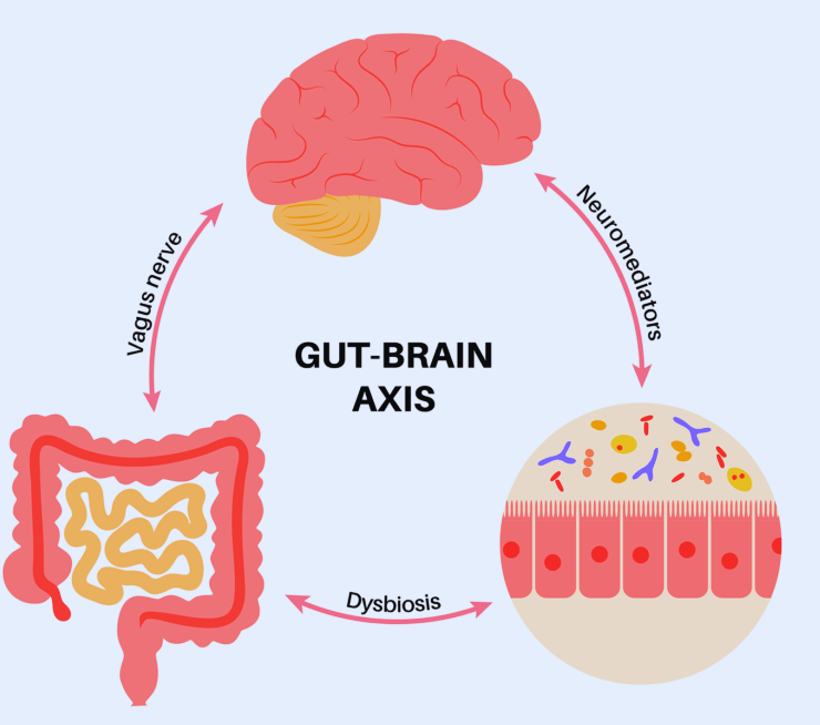 Gut-Brain Axis